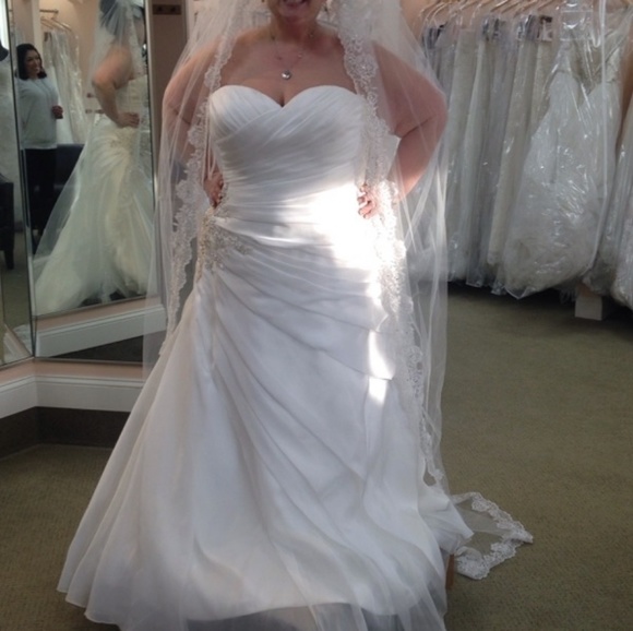 Meet your Posher, Donna - Picture 3 of 7